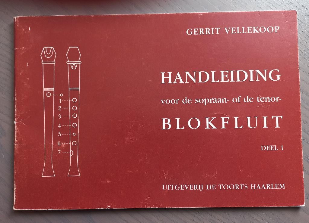 Handleiding voor de blokfluit, Muziek en Instrumenten, Gebruikt, Overige genres, Les of Cursus, Ophalen of Verzenden
