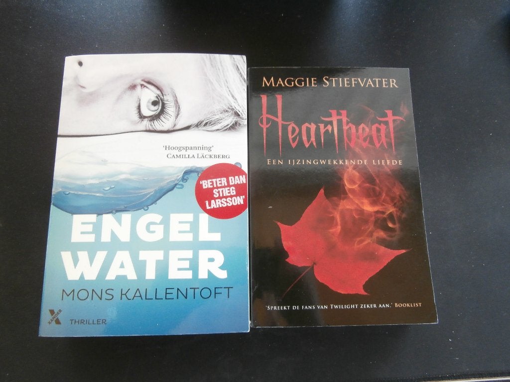 boeken te koop 8-(thriller-roman) -, Boeken, Ophalen of Verzenden, Gelezen