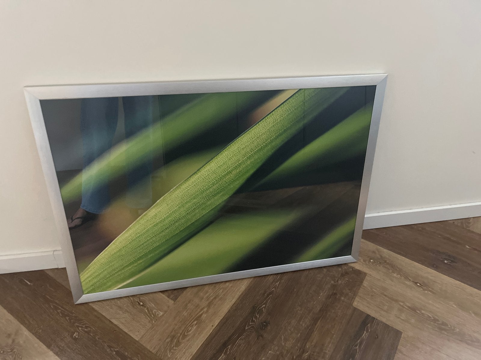 Moderne fotoprint van groene bladeren in zilveren lijst, Huis en Inrichting, Ophalen, 50 – 75, Zo goed als nieuw, 75 tot 100 cm