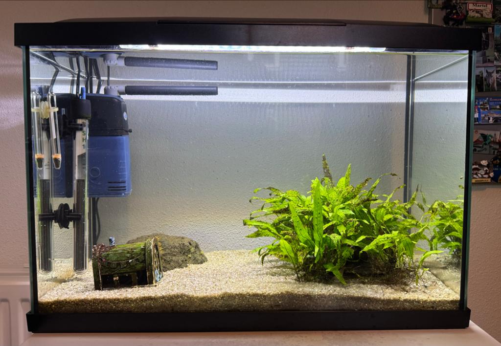 SuperFish 70 aquarium compleet met extra’s, Ophalen, Inclusief vissen, Superfish, Gevuld zoetwateraquarium