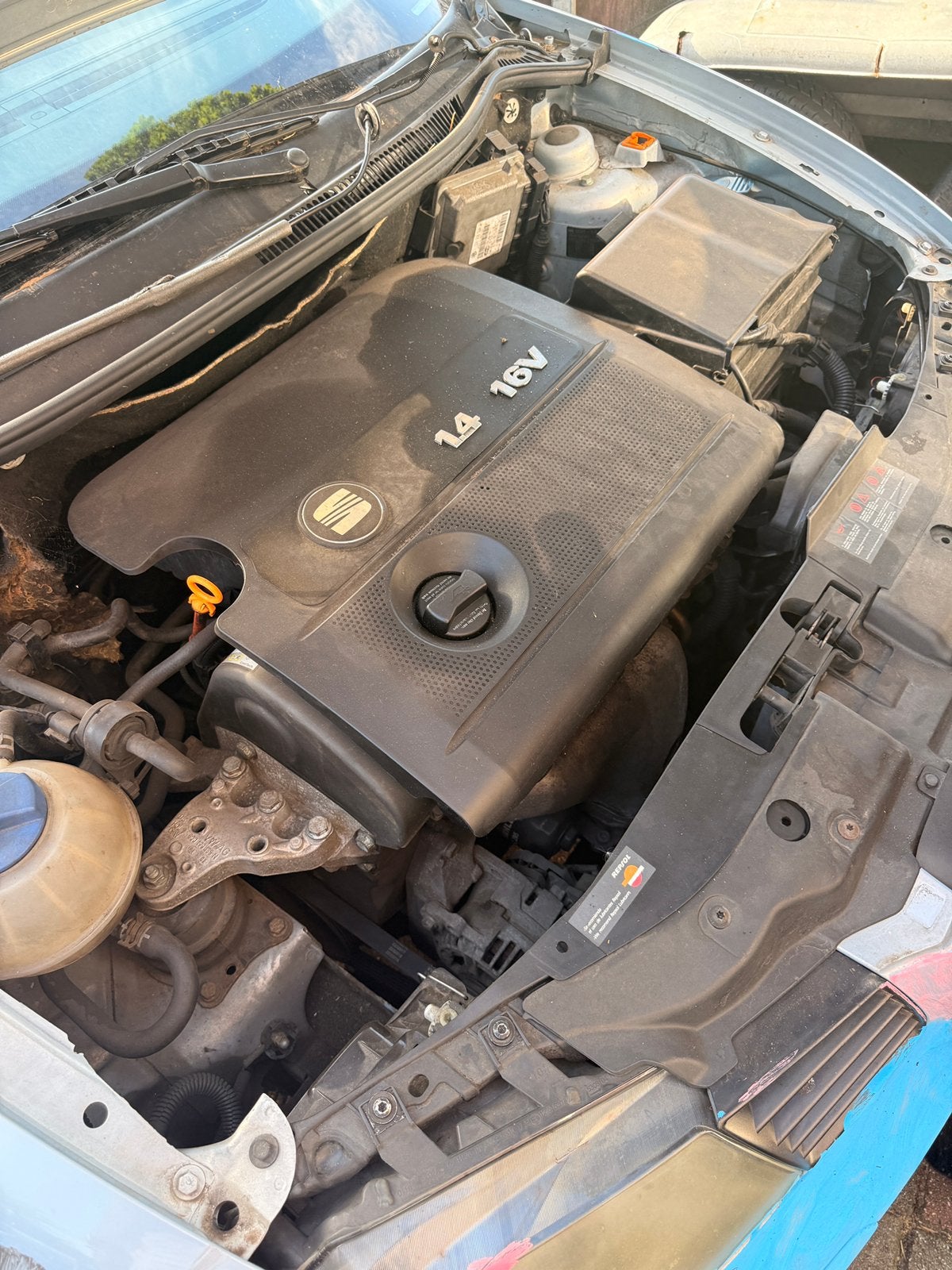 Leuke cross auto, Ophalen, Gebruikt, Seat