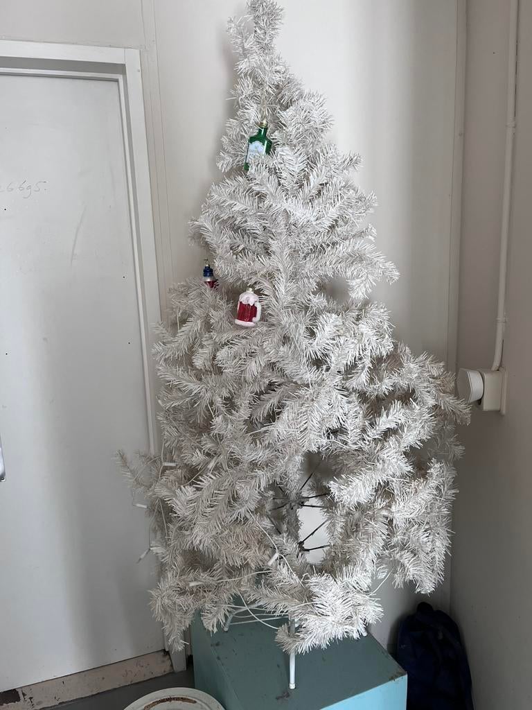 Witte kerstboom, Ophalen, Gebruikt