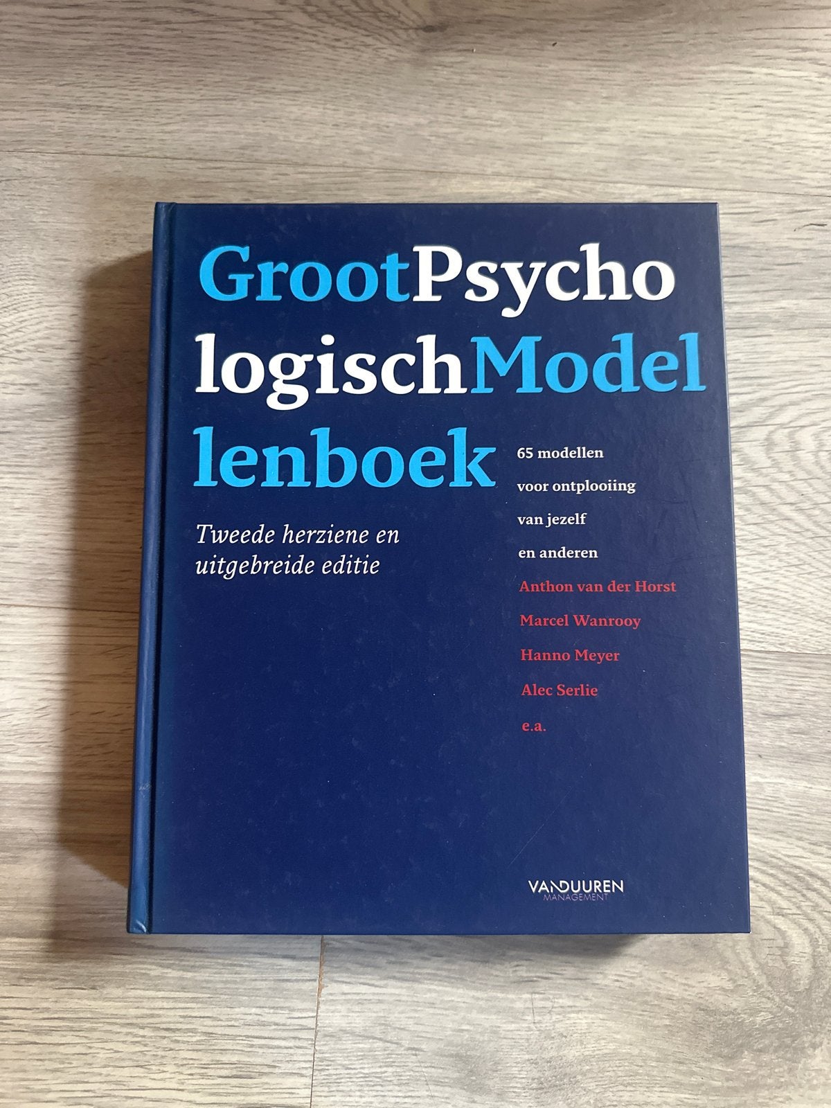 Marcel Wanrooy - Groot psychologisch modellenboek, Ophalen, Sociale wetenschap, Marcel Wanrooy; Hanno Meyer; Alec Serlie; Anton van der Horst