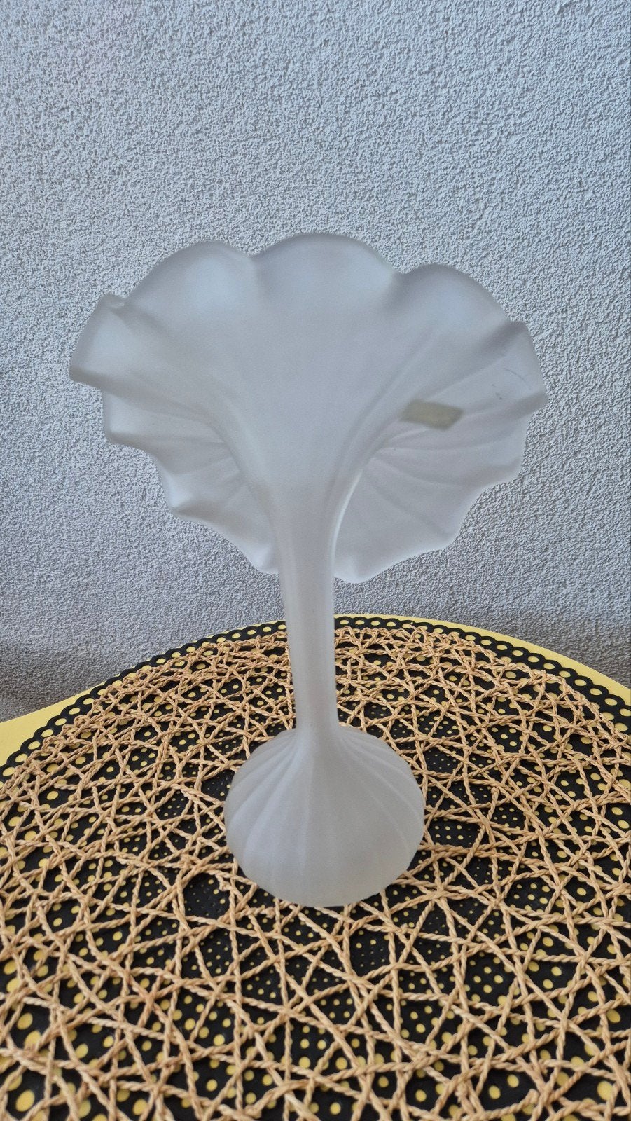 Vintage frosted glas vaas, mondgeblazen, van Leonardo, Ophalen of Verzenden
