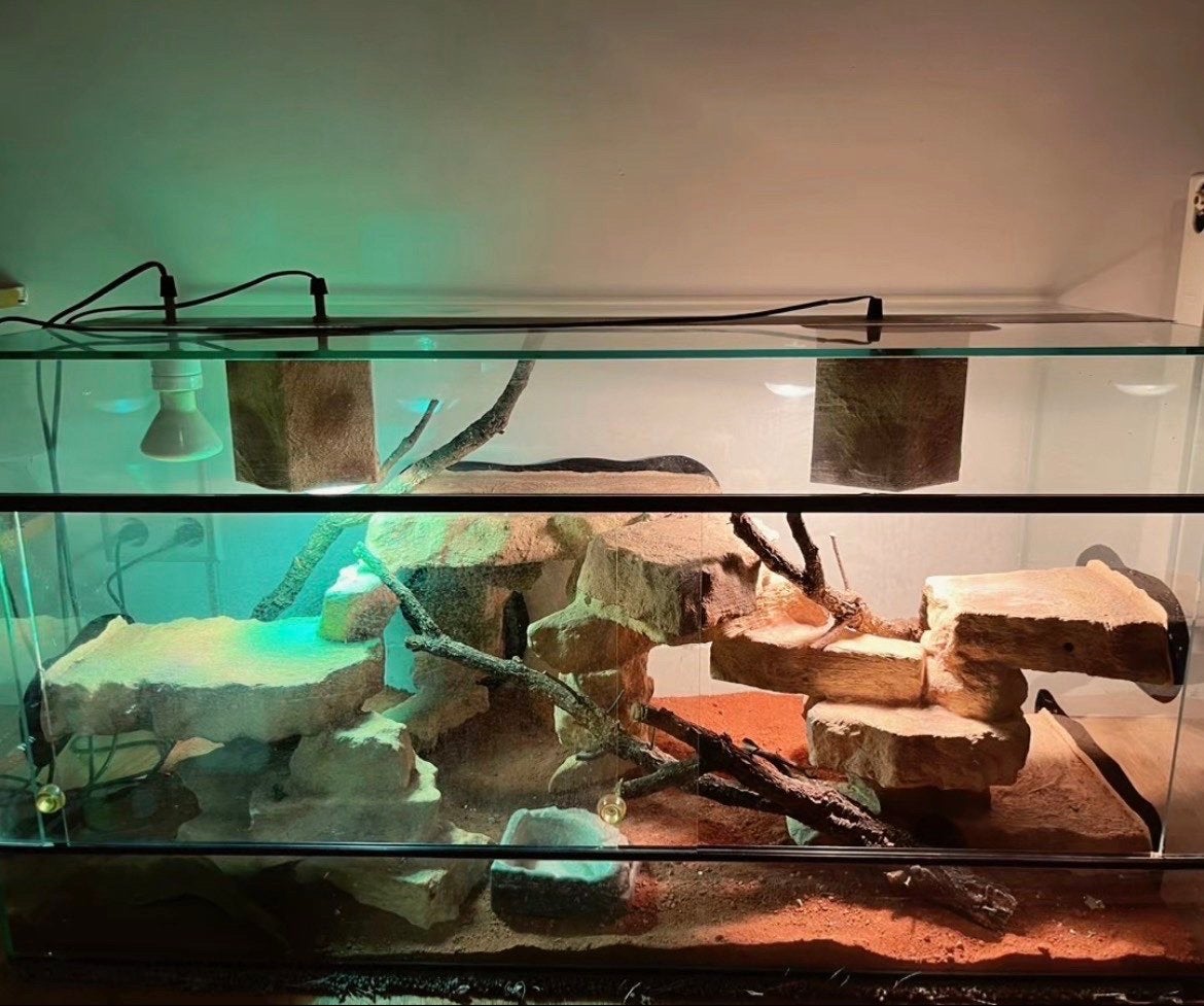 mooi terrarium voor baardagaam, Ophalen, Zo goed als nieuw, Terrarium of Paludarium