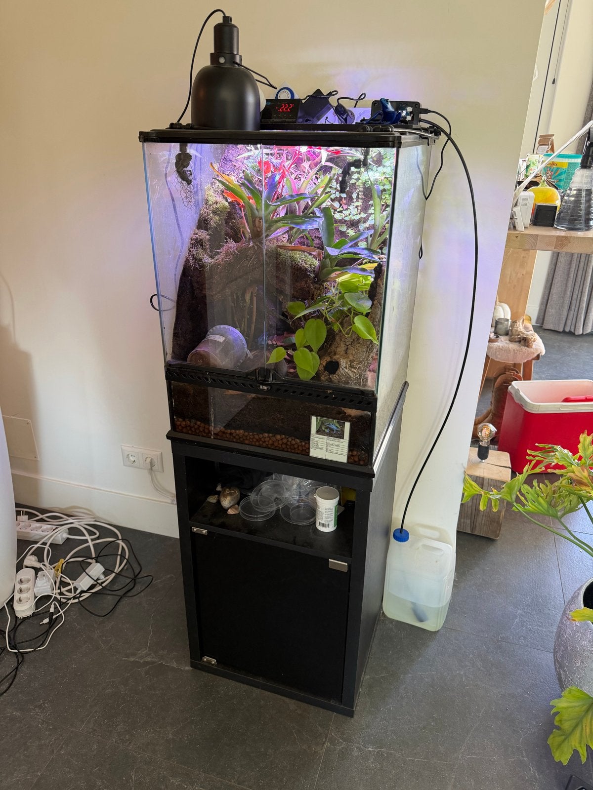 Exo terra 45x45x60 met kast en 3st Dendrobates Azureus, Ophalen, Zo goed als nieuw, Terrarium of Paludarium