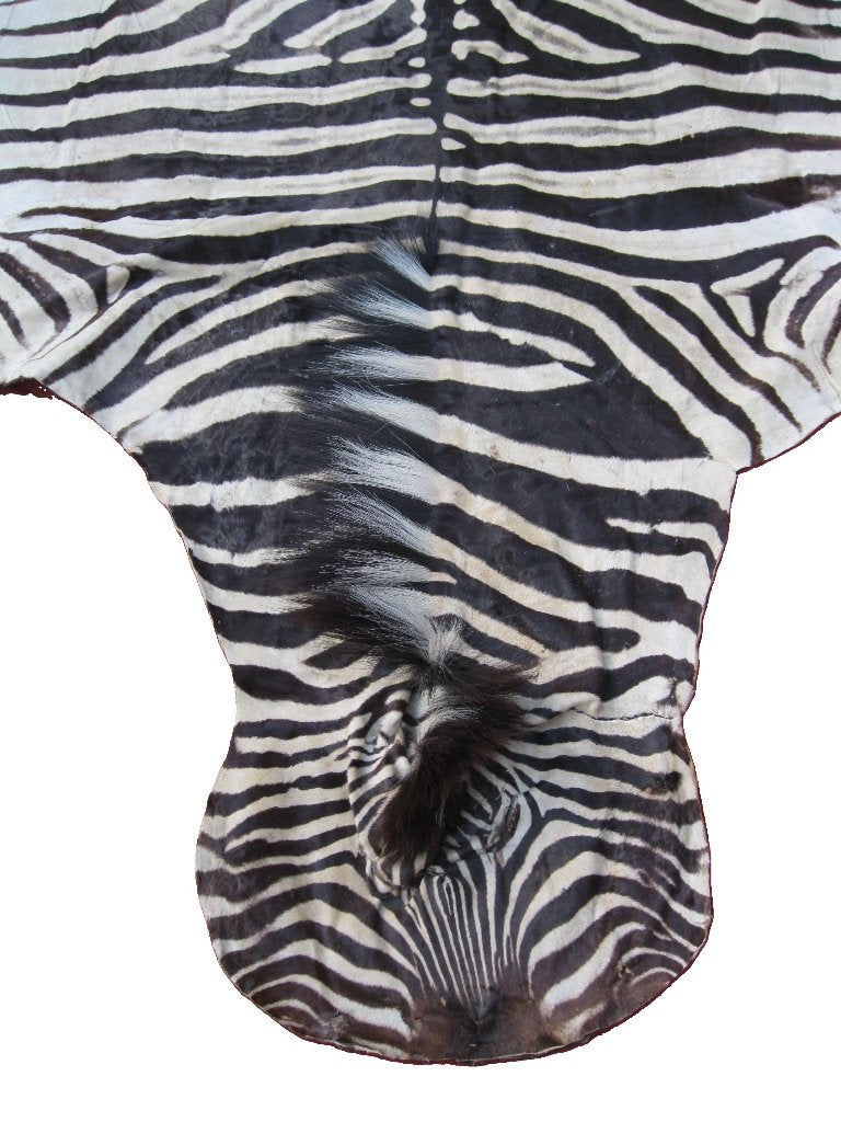 Prachtige zebrahuid zebravel zebratapijt zebra, Ophalen