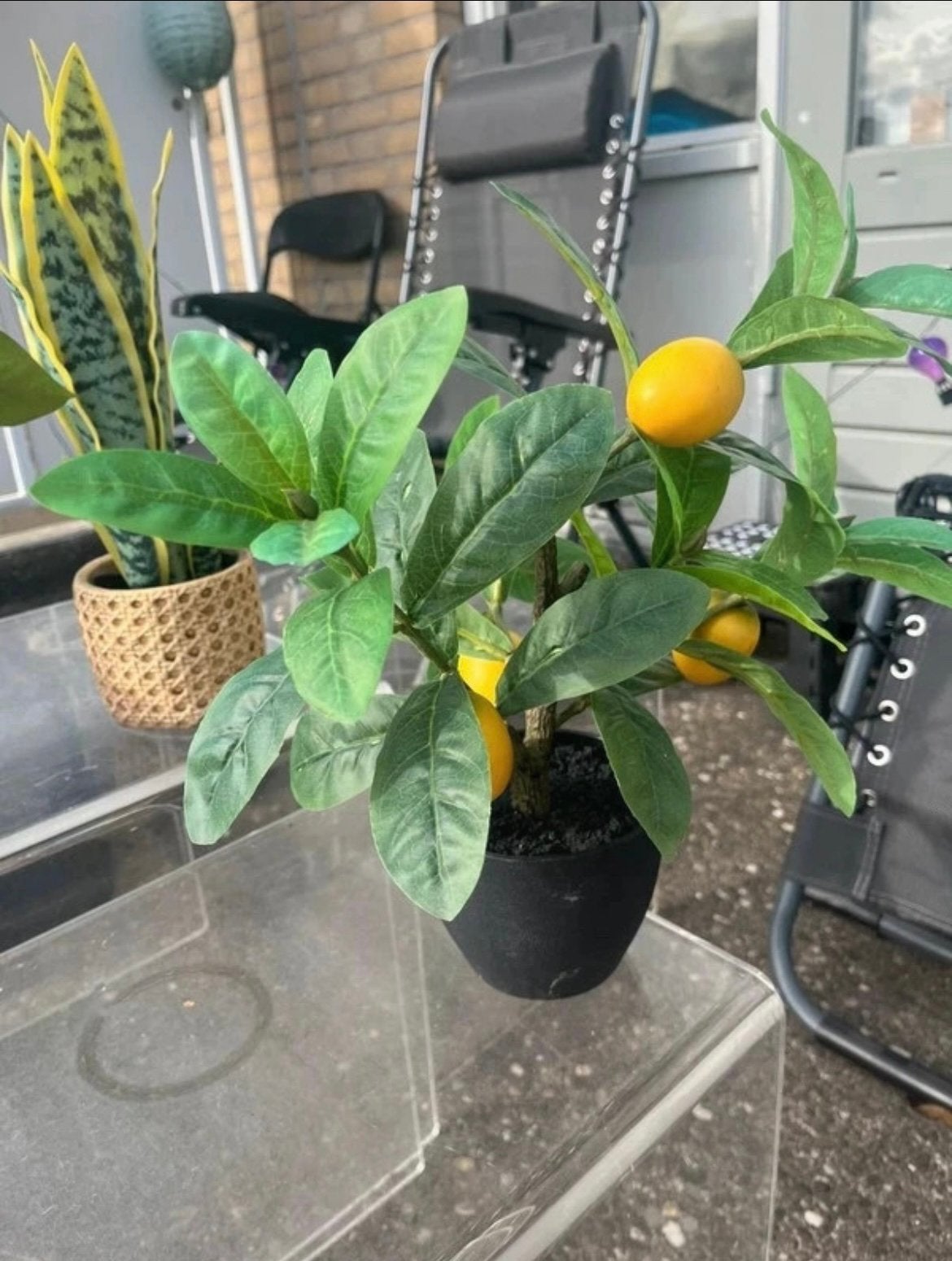 Kunst Citroen Boompje, Kunstplant, Ophalen of Verzenden, Zo goed als nieuw, IKEA