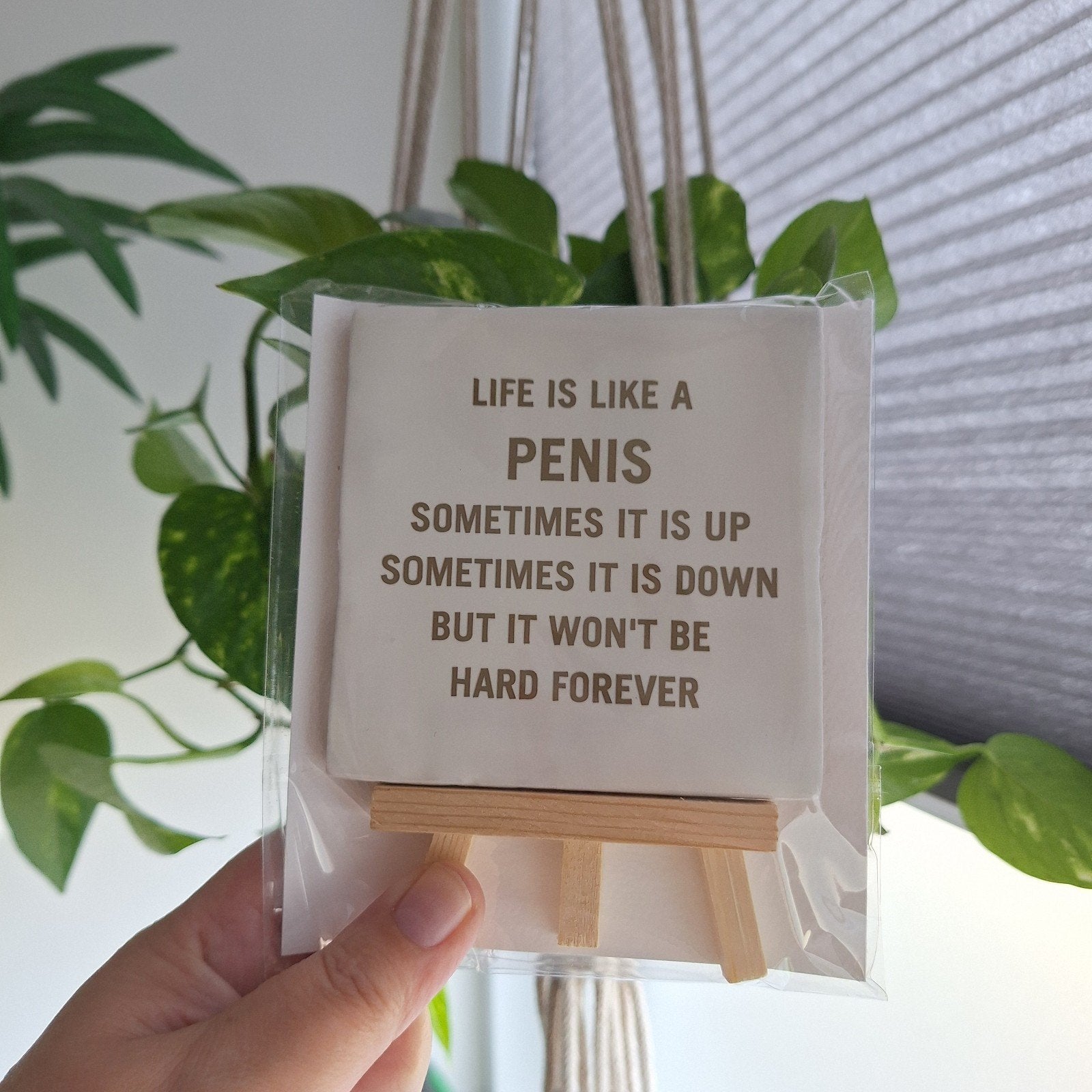 Tekst tegeltje: Life is like a penis..., nieuw, Ophalen of Verzenden, Nieuw