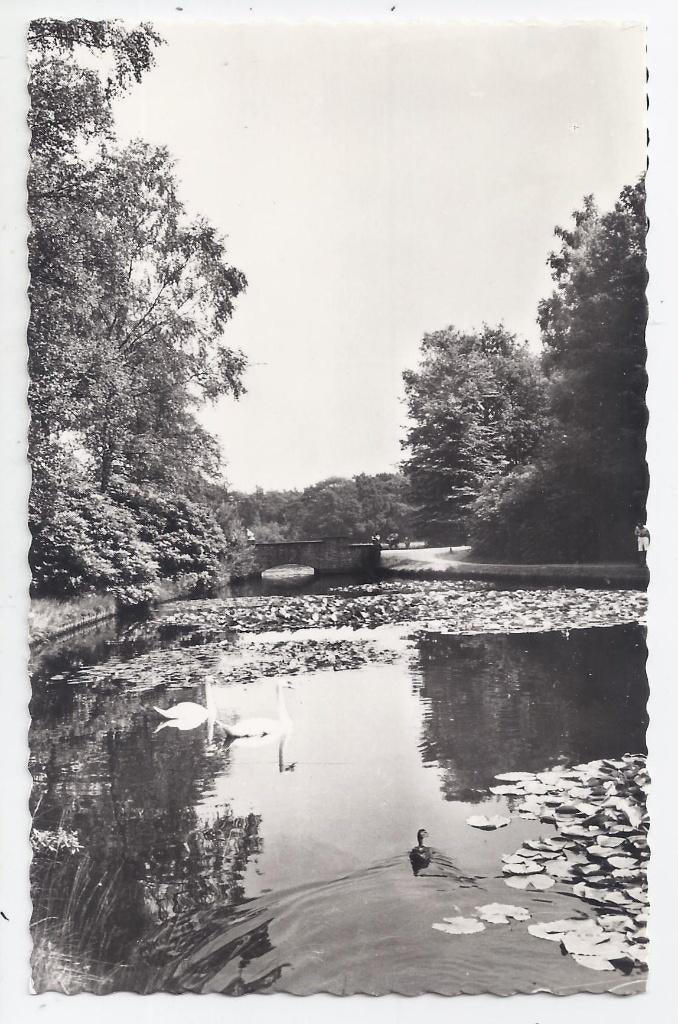 Park de hoge veluwe oude ongelopen ansichtkaart ( 7969 ), Ophalen of Verzenden, 1980 tot heden, Ongelopen, Gelderland