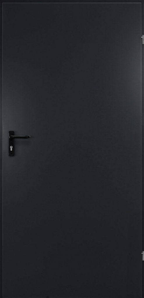 Deur staal volledig paneel b99,5 x h201 cm