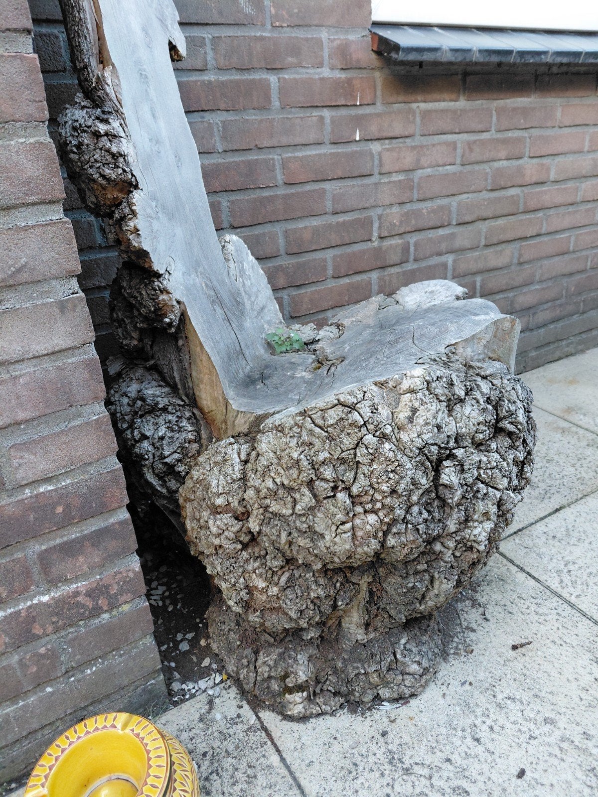 Boomstam stoel en tafeltje, Ophalen, Hout