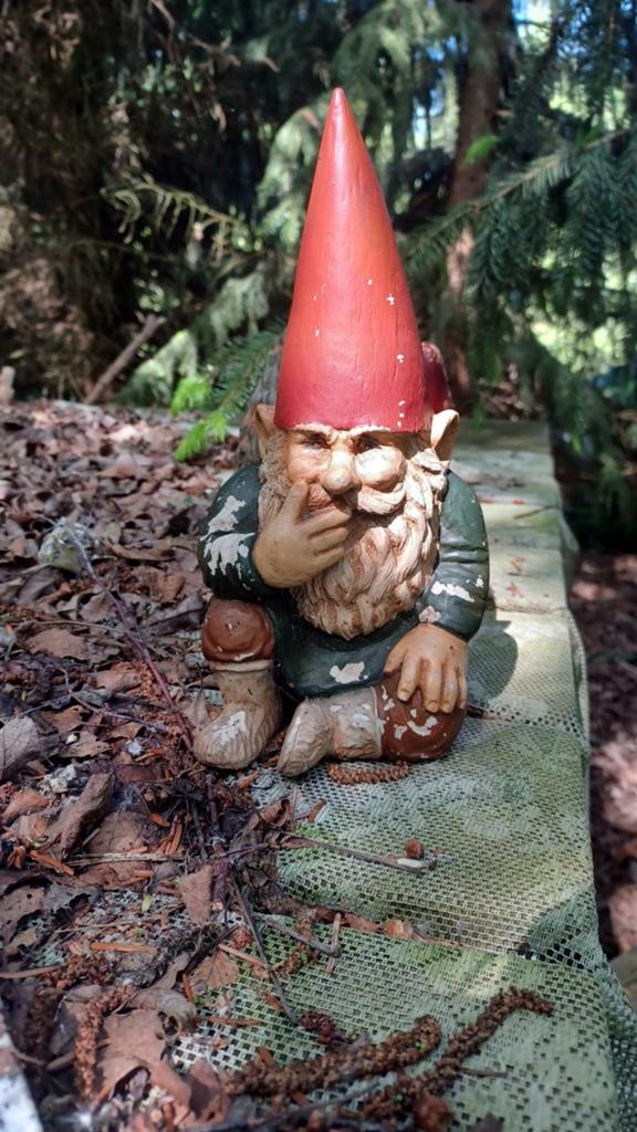 Diverse Tuinkabouters en Tuinbeelden - Gebruikt, Ophalen, Gebruikt, Overige materialen, Tuinkabouter