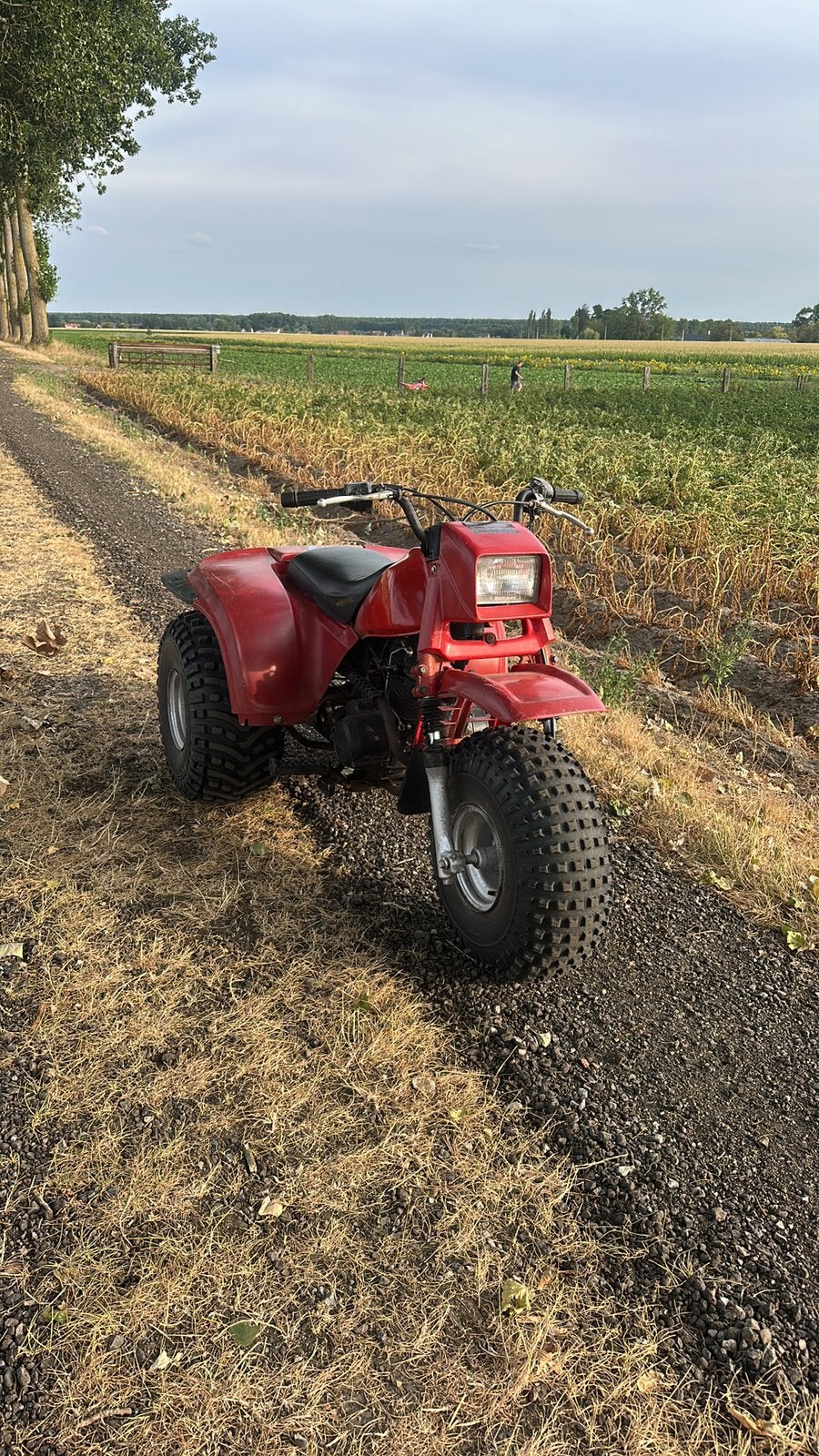Gezocht Kawasaki KLT 185 remtrommel, Fietsen en Brommers, Minibikes, Midibikes en Pitbikes, Ophalen of Verzenden