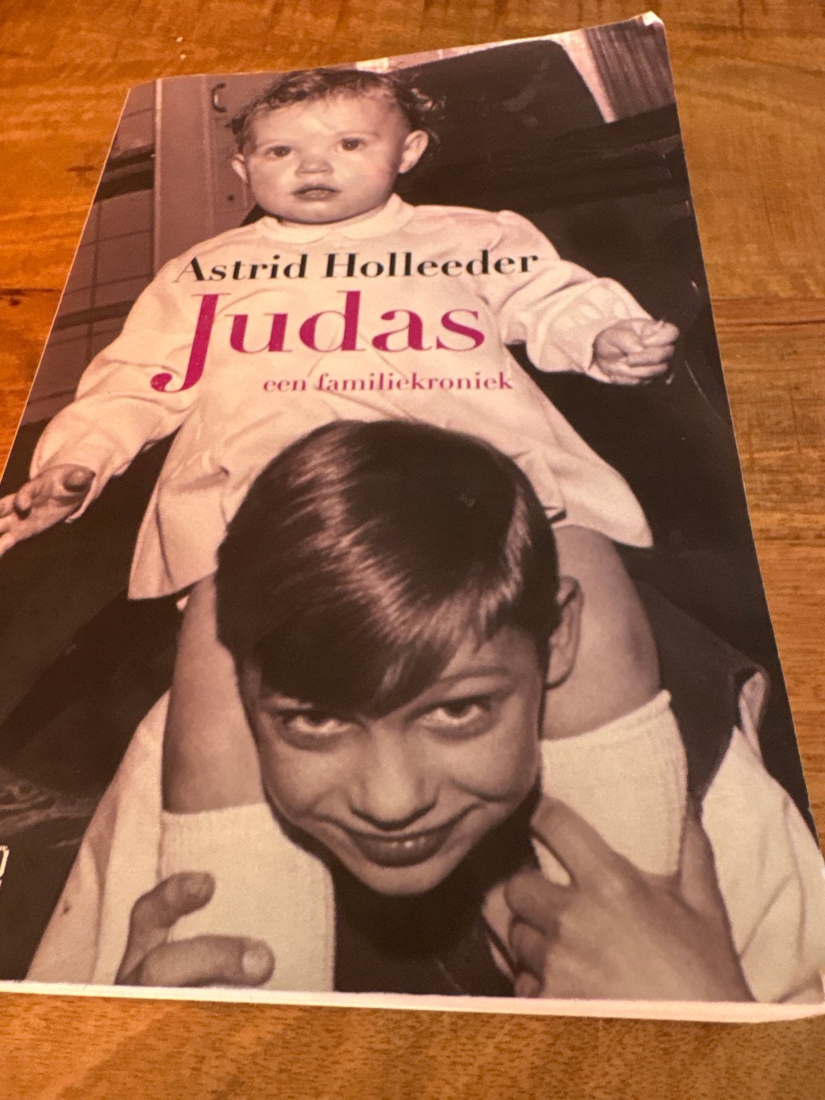 Astrid Holleeder - Judas: Een Familiekroniek