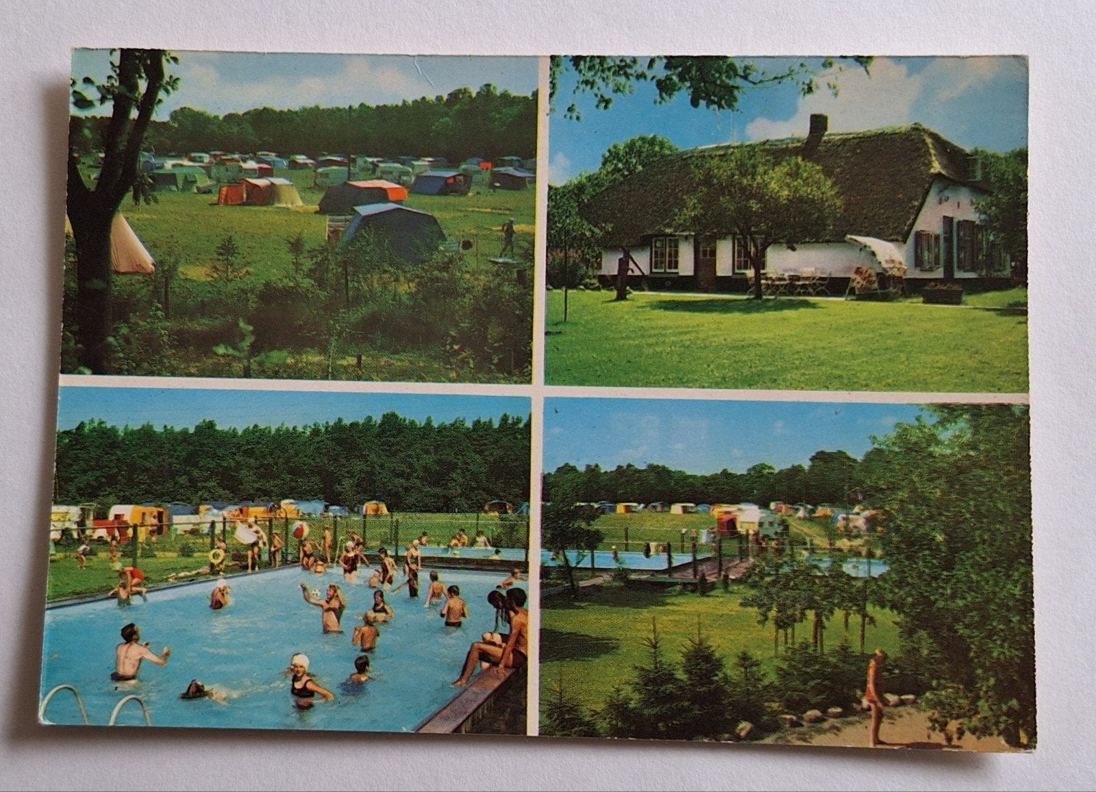 Ansichtkaart Camping Het Boskamp Dalfsen Overijssel, Ophalen of Verzenden, 1960 tot 1980, Ongelopen, Overijssel