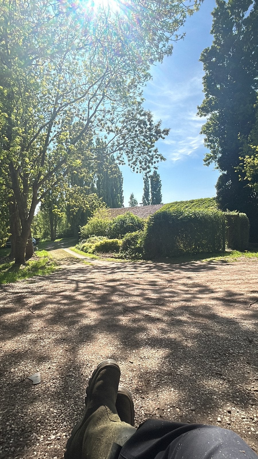 Gratis gras maaien? Doen we graag!, Tuin en Terras, Gras en Kunstgras, Ophalen, Nieuw, 20 m² of meer