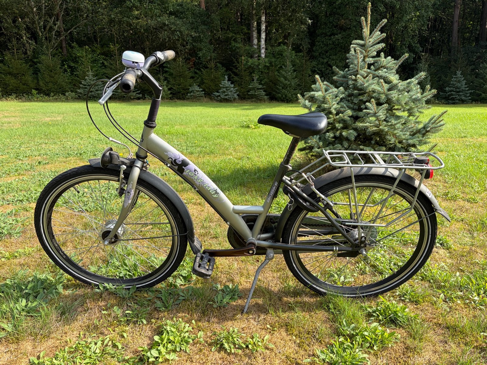 Loekie BigBike Foxy Lady 24 inch, Fietsen en Brommers, Ophalen, Terugtraprem, Handrem, Gebruikt