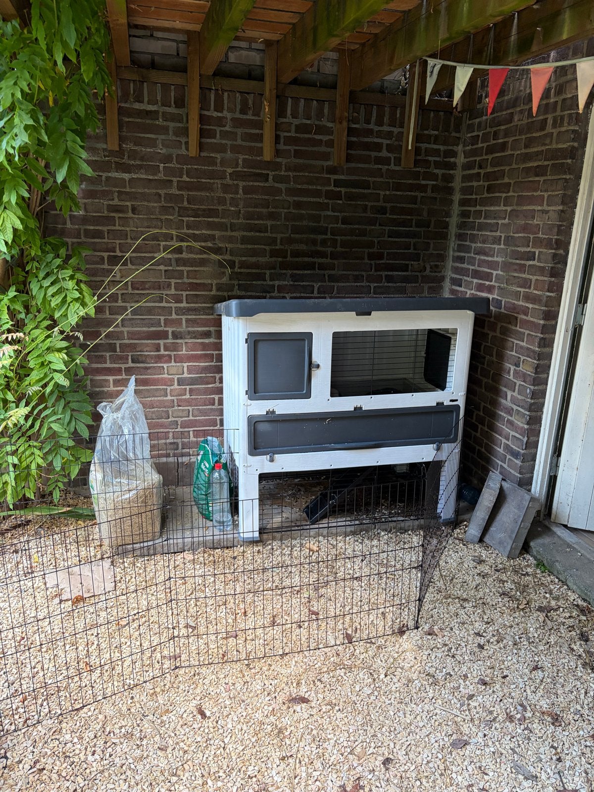 konijnenhok met voederbakjes en hekwerk, Meerdere dieren, Dwerg, Hangoor