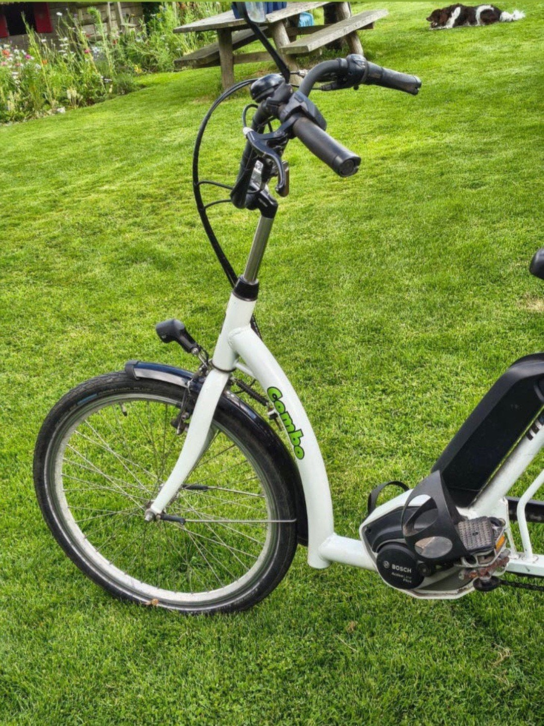 Pfautec Electrische Driewielfiets  2019, Fietsen en Brommers, Elektrische fietsen, Gebruikt, 51 tot 55 cm, 50 km per accu of meer