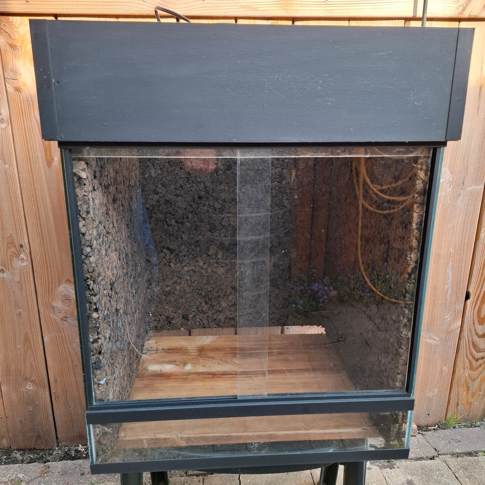 Terrarium/paludarium 50x50x50 inclusief lichtkap, Ophalen, Gebruikt, Terrarium of Paludarium