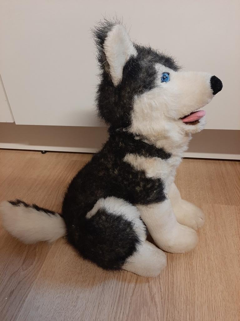 Husky knuffel 36 cm, Ophalen of Verzenden