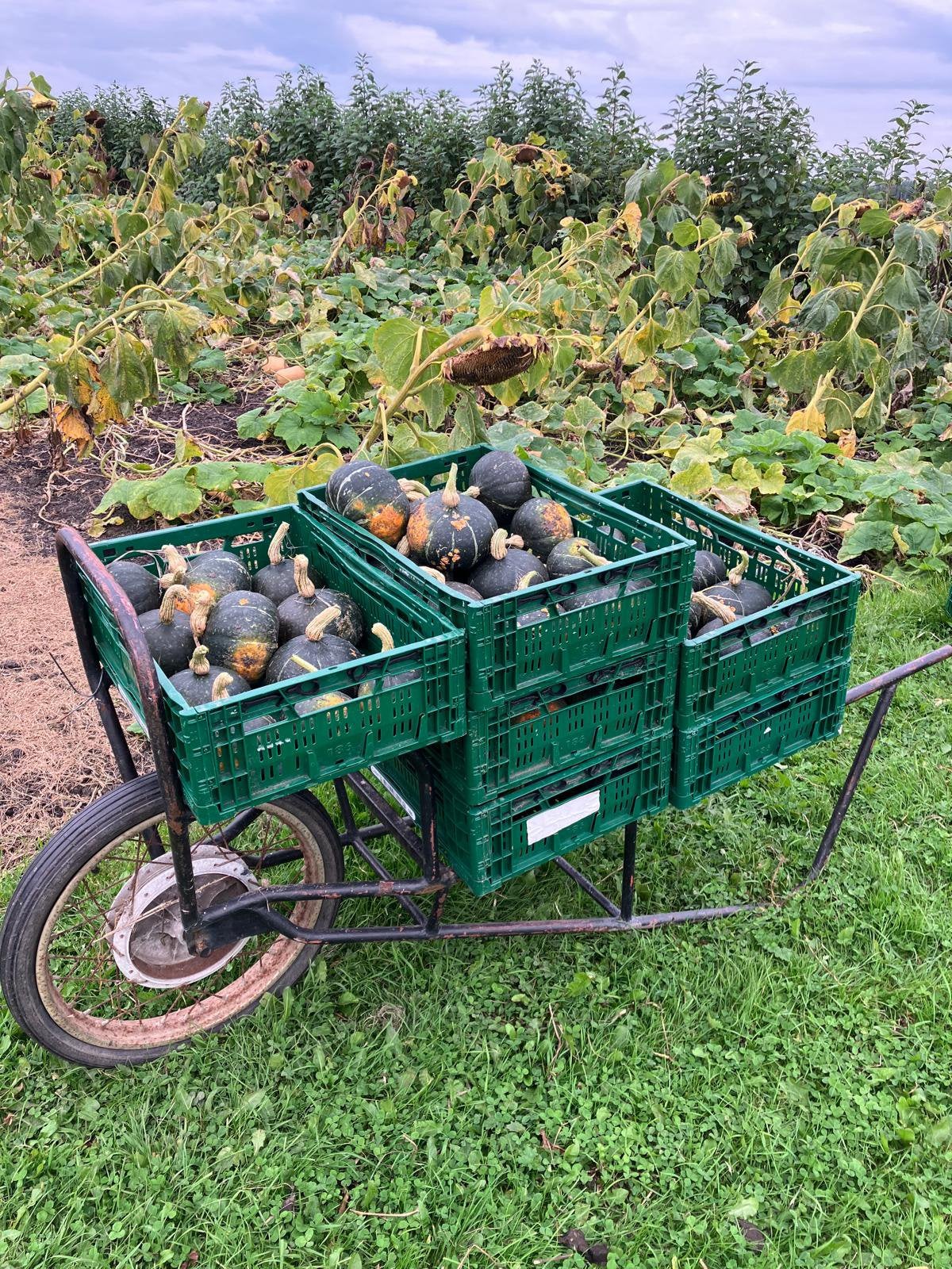 Gezocht Ramenwagen, kruiwagen, Minder dan 3 m³, Ophalen of Verzenden