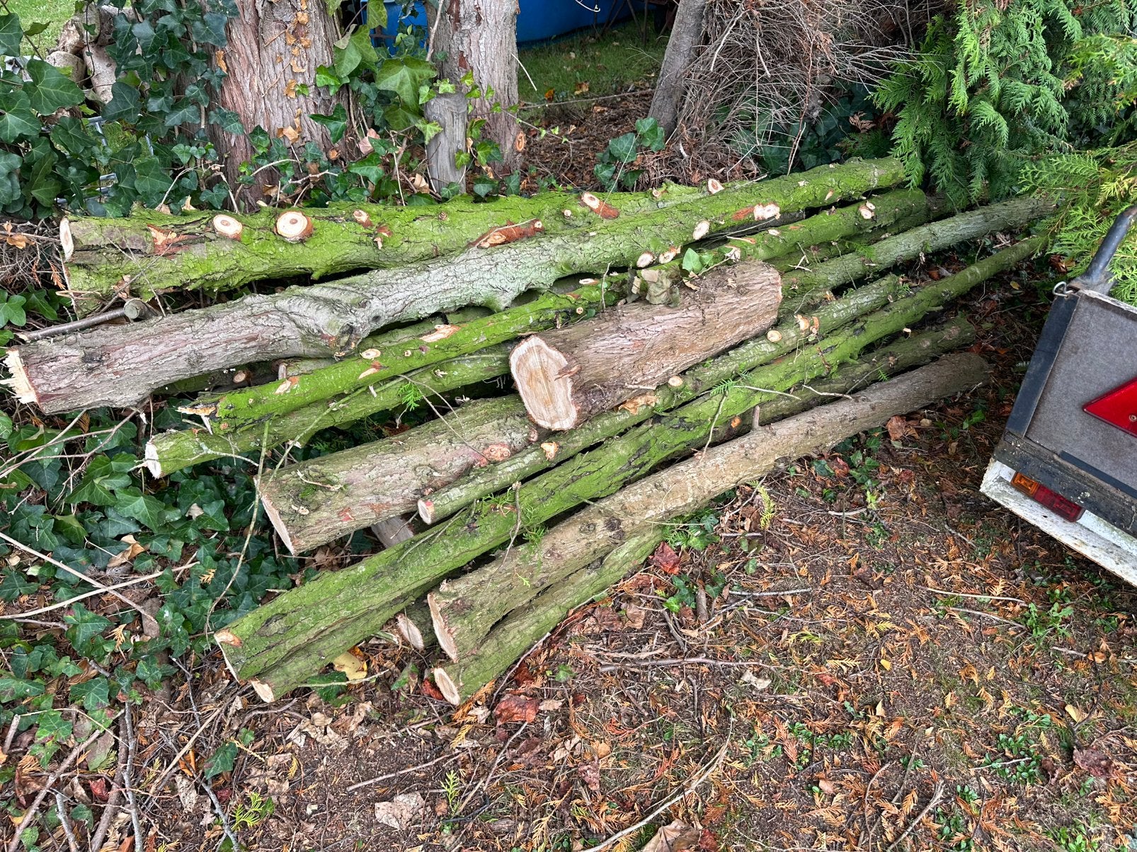 Haardhout. €35, Tuin en Terras, Minder dan 3 m³, Ophalen