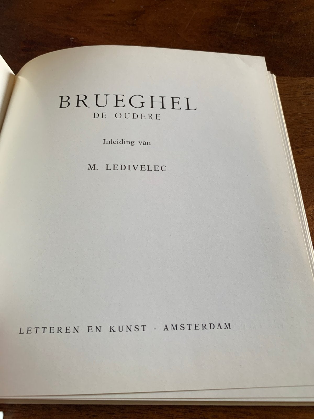 Brueghel de Oudere - Kunstboek, Ophalen of Verzenden, Gelezen, Schilder- en Tekenkunst