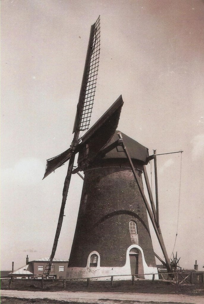 Westkapelle Dijkmolen 1937 recente repro groot formaat molen, Ophalen of Verzenden, 1980 tot heden, Ongelopen, Zeeland