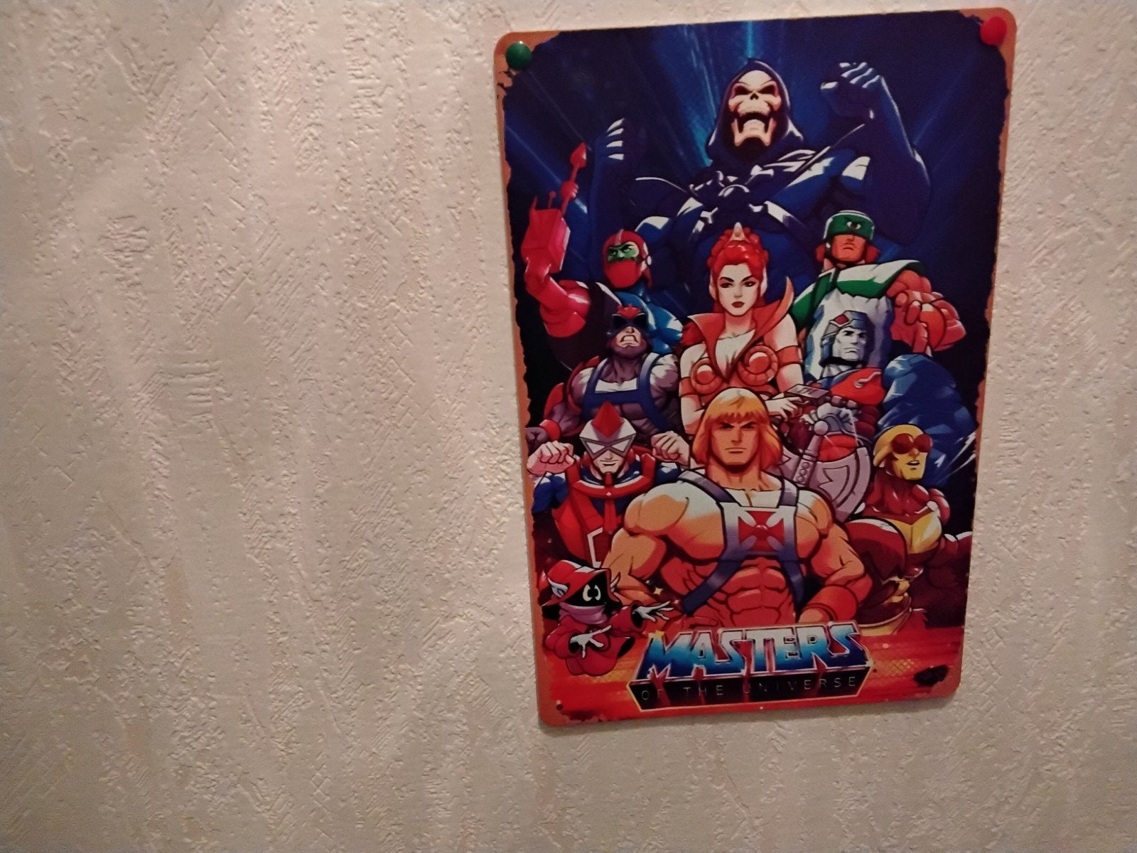 WANDPLAAT MASTERS OF THE UNIVERSE, Ophalen of Verzenden