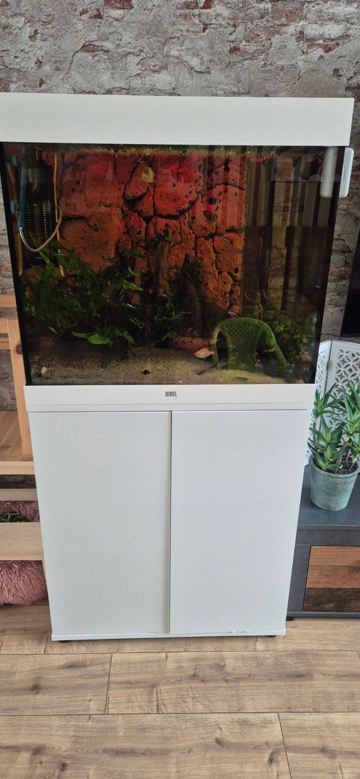 Juwel lido 200 aquarium incl onderstel en accessoires, Ophalen, Juwel, Inclusief deksel, Gevuld zoetwateraquarium