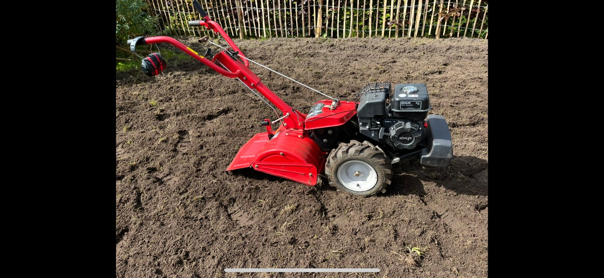 Massey Ferguson 6.5pk Tuinfrees - Z.g.a.n. met omkeerbare fr, Ophalen