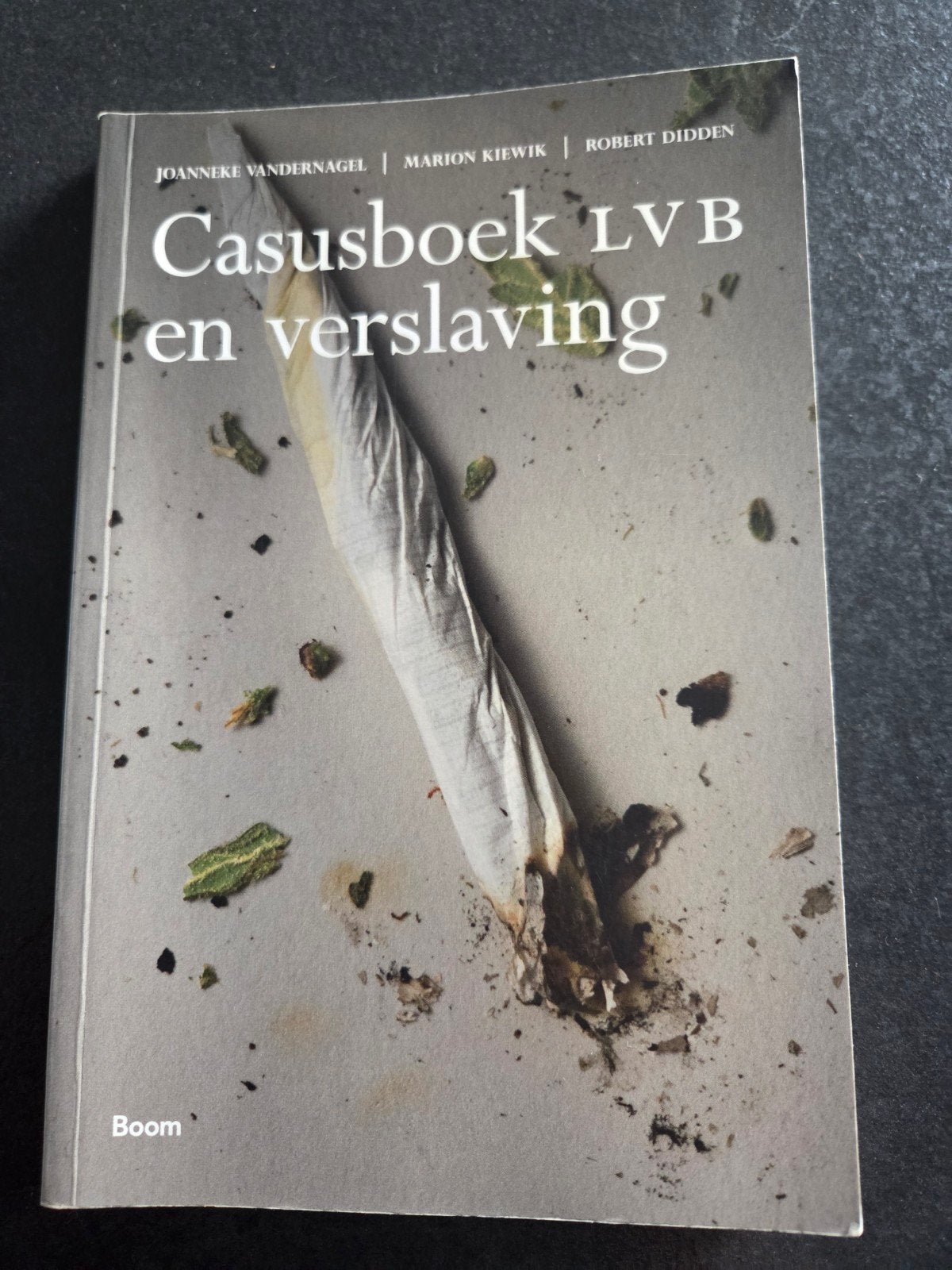 Robert Didden - Casusboek LVB en verslaving, Boeken, Robert Didden; Marion Kiewik; Joanneke van der Nagel, Ophalen of Verzenden
