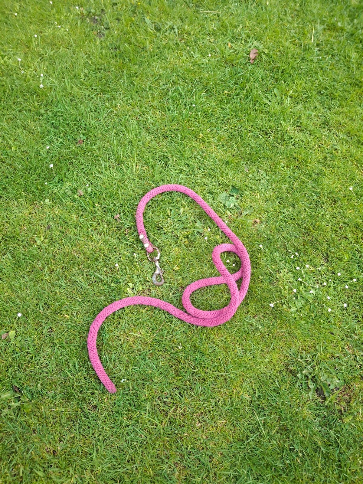 Halstertouw paars/ roze, Gebruikt, 2 tot 4 meter, Overige typen, 20 tot 40 mm