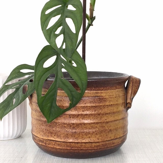 vintage POT keramiek bloempot bruin seventies wabi sabi MCM, Gebruikt, Rond, Binnen, Ophalen of Verzenden