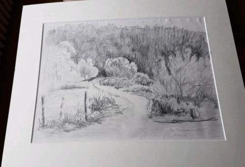 tekening Ida Zwartkruis 1988 duinen van Schoorl, Ophalen