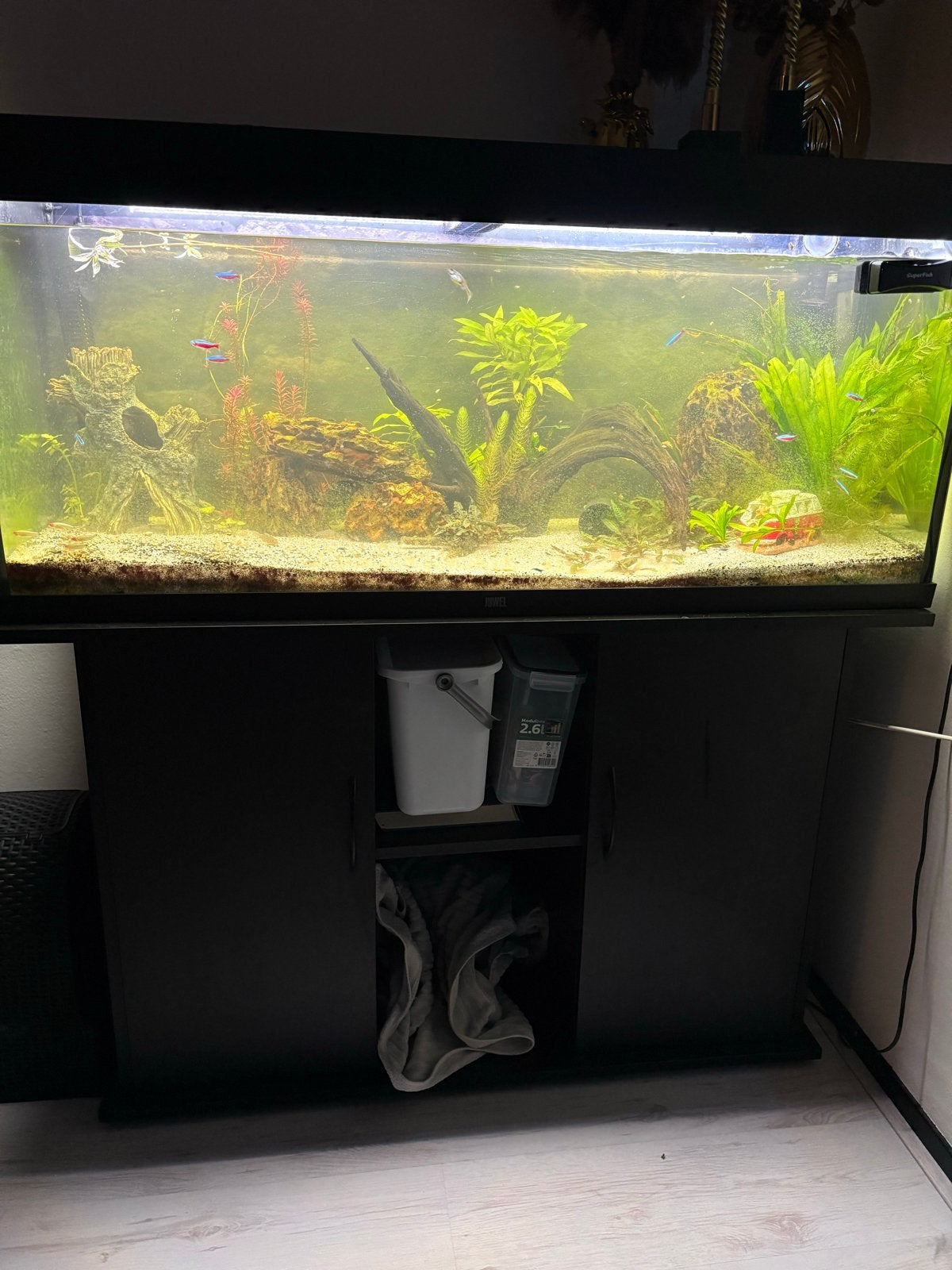 Juwel rio 240 met bij behoorende, Dieren en Toebehoren, Ophalen, Aquariummeubel, Zo goed als nieuw, Inclusief vissen