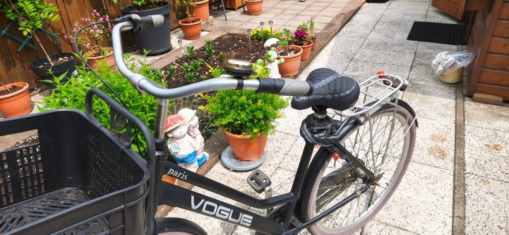 Vogue Paris dame transportfiets, Terugtraprem, Versnellingen, Ophalen, Overige merken