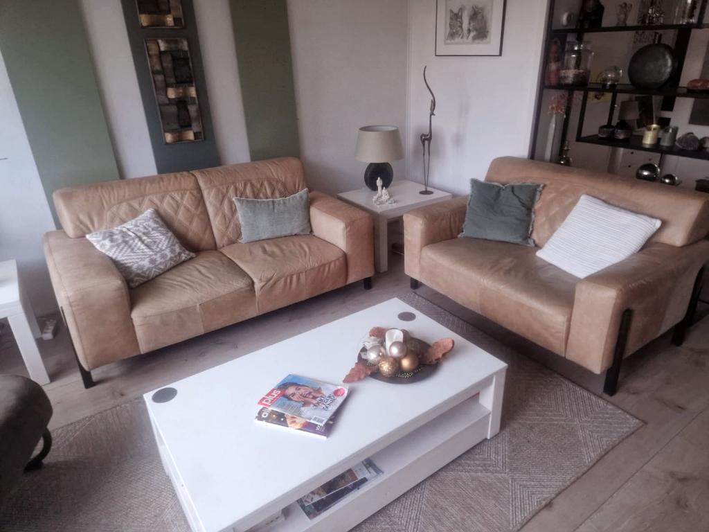 Lederen bankstel, Huis en Inrichting, Banken | Bankstellen, Ophalen, Gebruikt, Tweepersoons, 75 tot 100 cm