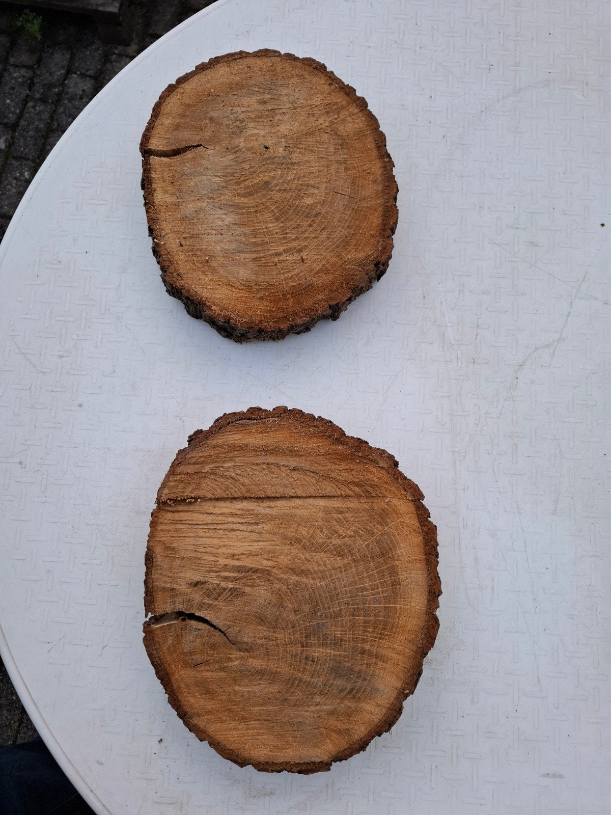 Houten boomstamschijven 2 stuks, Gebruikt, 25 tot 50 mm, Overige typen, Ophalen of Verzenden