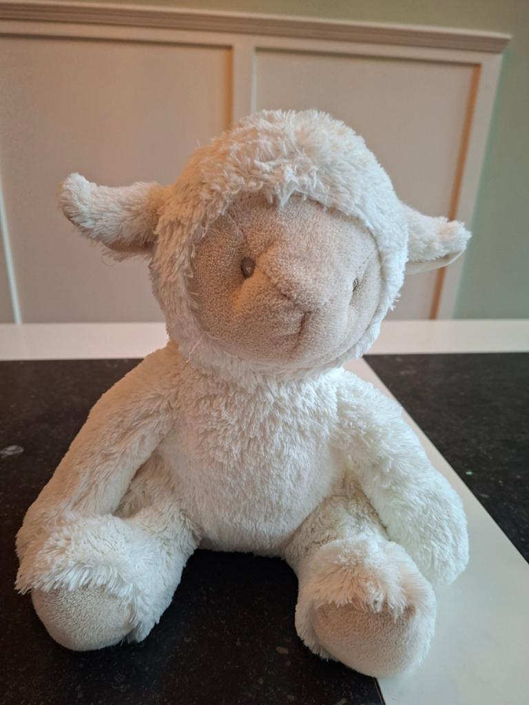 Lieve schaap knuffel, Overige typen, Ophalen of Verzenden, Zo goed als nieuw, Middelgroot (20 tot 80 cm)