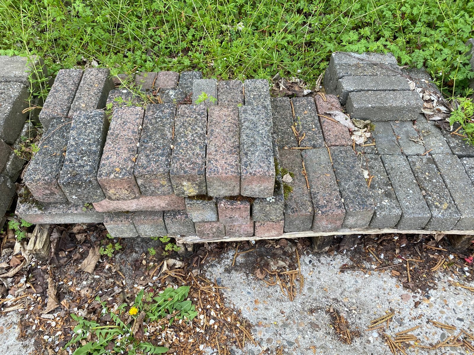 Tegels, klinkers, Tuin en Terras, Tegels en Klinkers, Ophalen, Gebruikt, Beton, Terrastegels