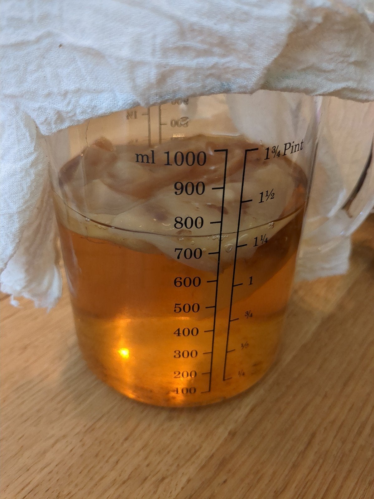 Kombucha startvloeistof met SCOBY - Zelf Fermenteren, Ophalen, Glas, Overige typen, Gebruikt