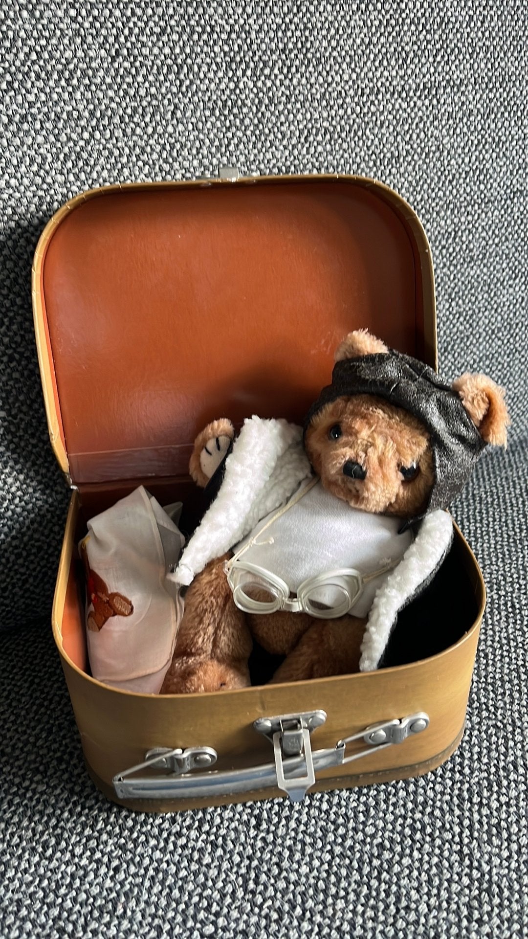 Steiff koffertje met beertje, Kinderen en Baby's, Speelgoed | Knuffels en Pluche, Ophalen of Verzenden, Zo goed als nieuw, Beer