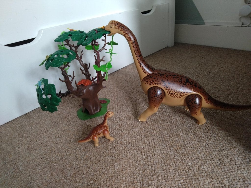 Playmobil Dinosaurus verzameling sets, Ophalen, Gebruikt, Complete set, Overige typen