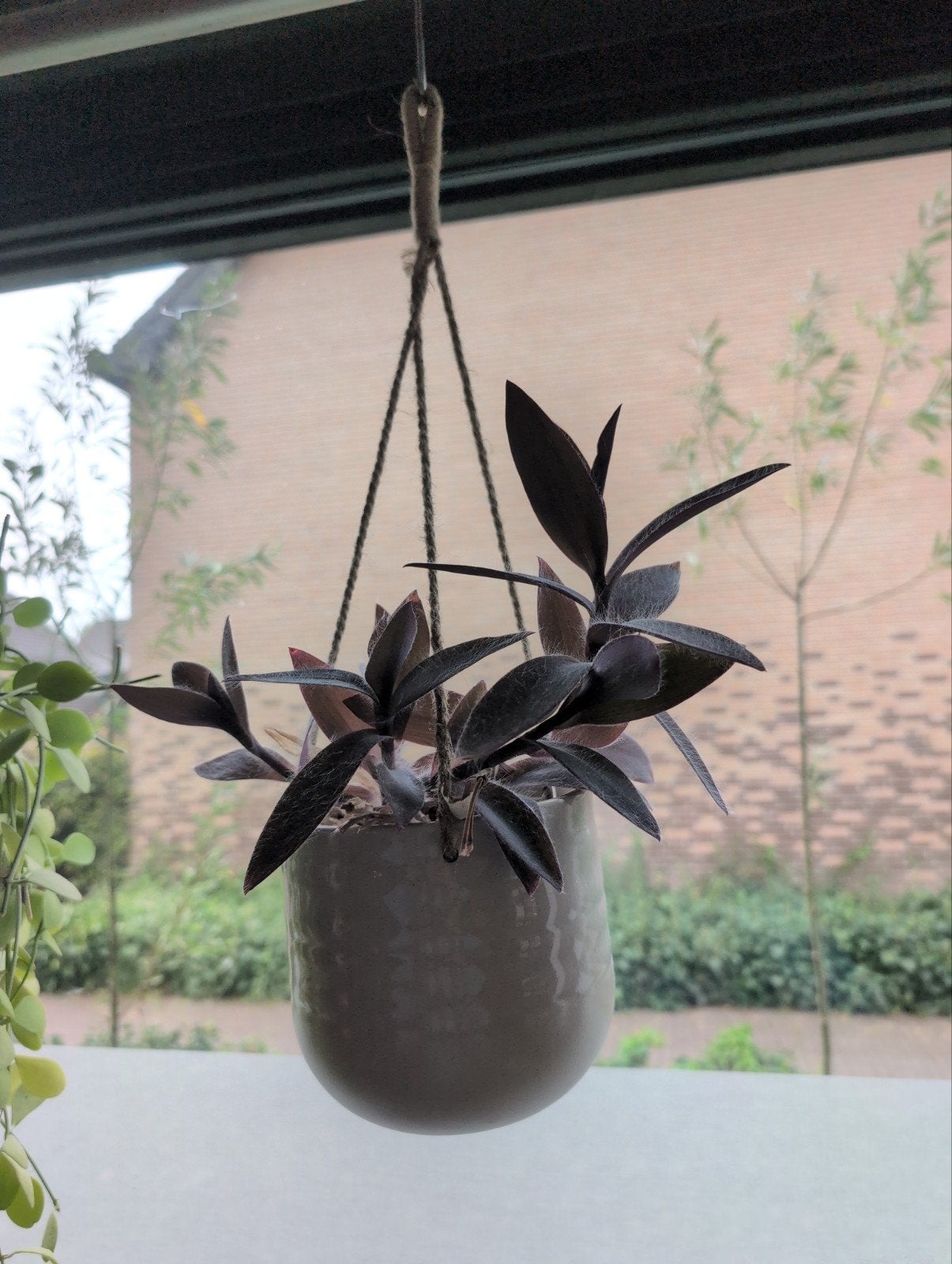 Hangende bloempot (exclusief plant), Gebruikt, Rond, Binnen, Ophalen of Verzenden