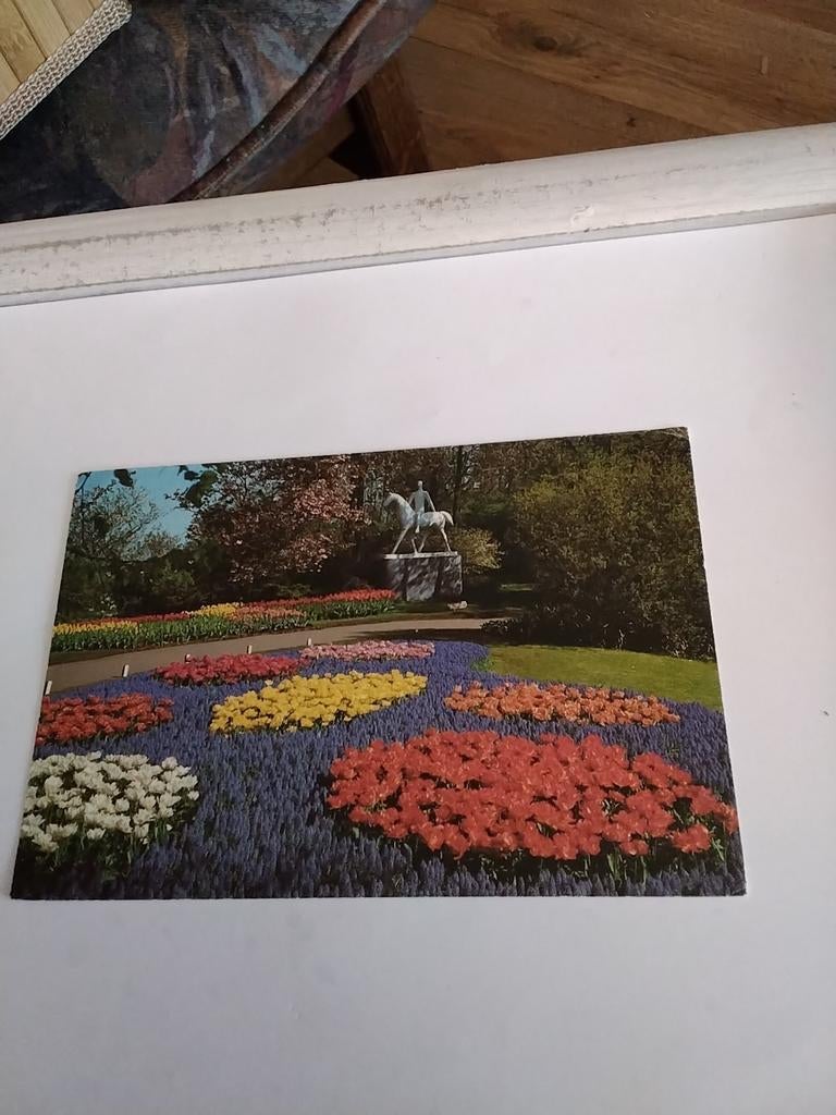 LISSE KEUKENHOF, Ophalen of Verzenden