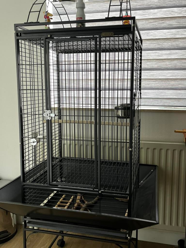 Papegaaienkooi, Ophalen, Zo goed als nieuw, Metaal, Vogelkooi