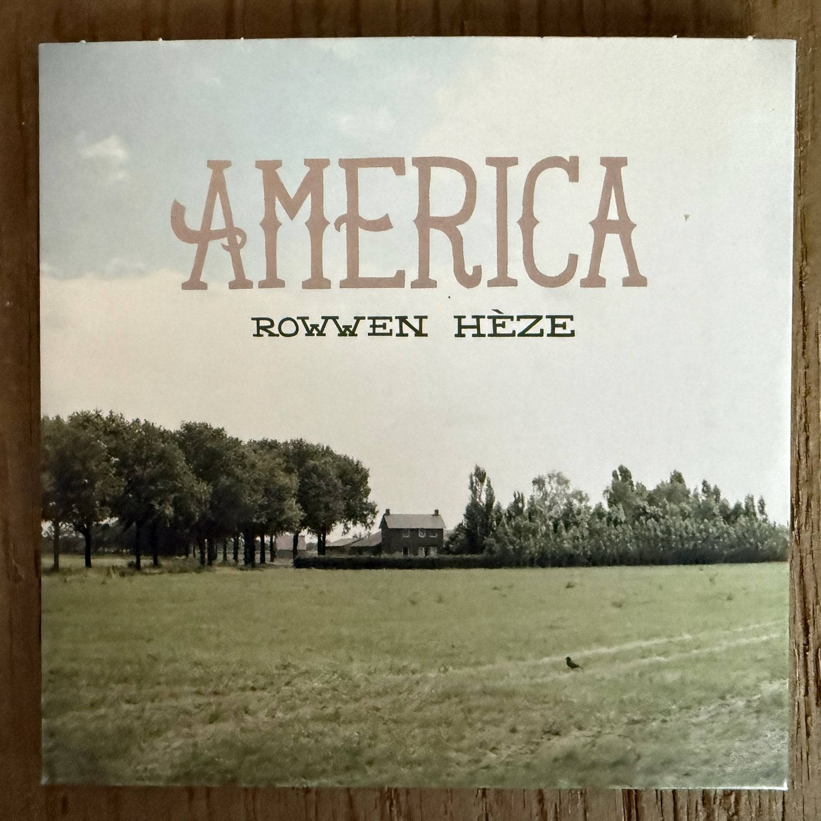 Rowwen Hèze - America CD Single, Gebruikt, Ophalen of Verzenden, Single, Streekmuziek